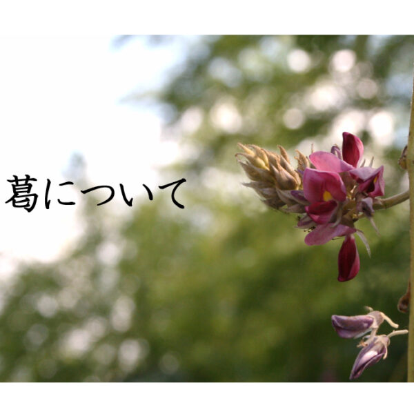 葛について